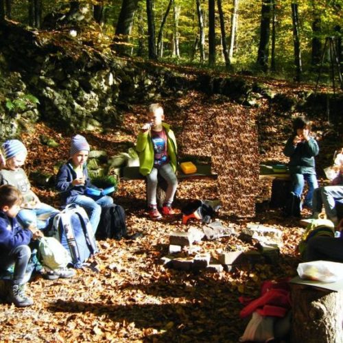 Kindergeburtstag in der WaldBasis